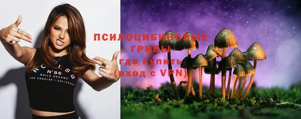 гидропоника Абаза