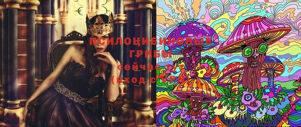 МДПВ Пестово