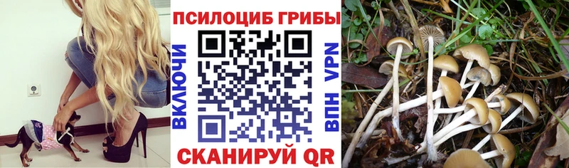 Галлюциногенные грибы мицелий  omg как войти  Карталы 